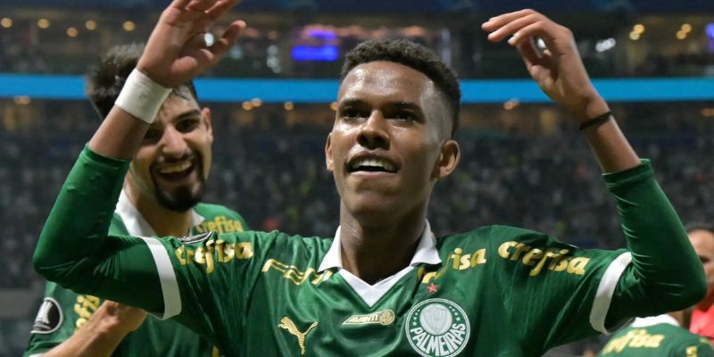 Sự nghiệp thi đấu chuyên nghiệp của Estêvão Willian tại Palmeiras